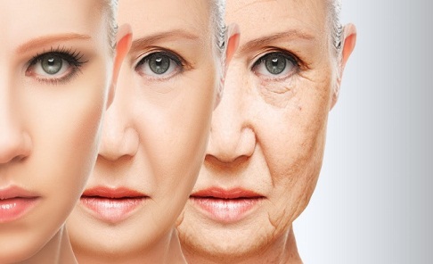 Профилактика старения и возрастных заболеваний