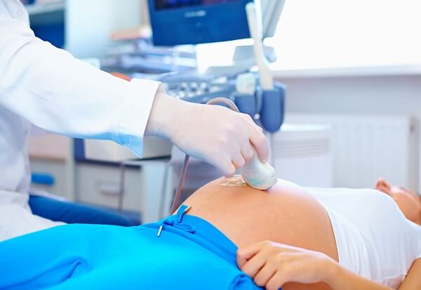 Образование и функции плаценты во время беременности