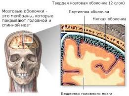 Лечение кист головного мозга в Нижнем Новгороде.