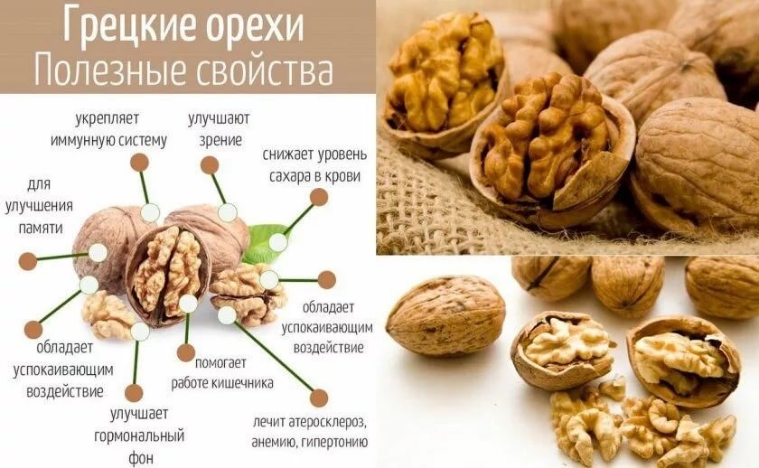 Грецкий орех: польза и вред для организма мужчин, женщин, детей